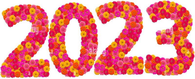 Illustration de l'actualité