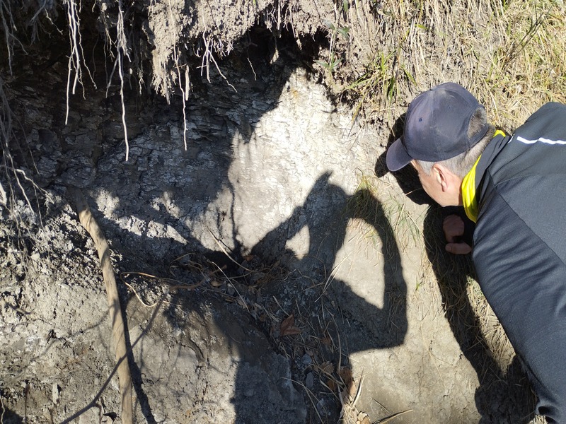 Illustration de l'actualité