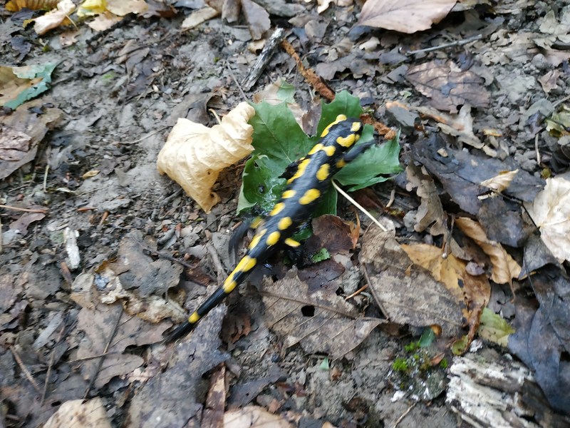 Illustration de l'actualité