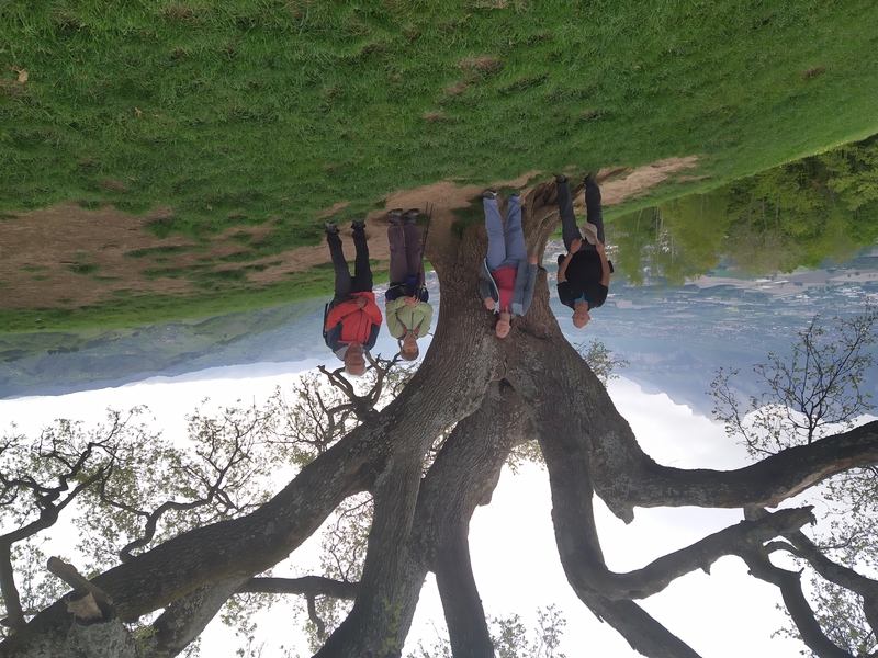 Illustration de l'actualité