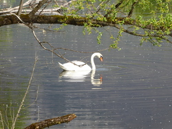 Illustration de la galerie