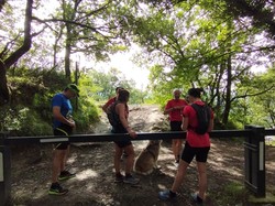 Illustration de la galerie