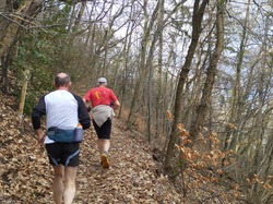 Illustration de la galerie