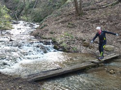 Illustration de la galerie