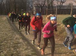 Illustration de la galerie