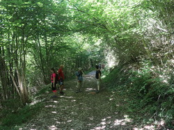 Illustration de la galerie