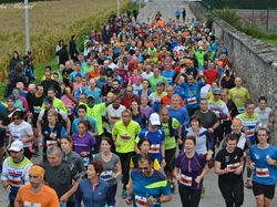 Illustration de la galerie