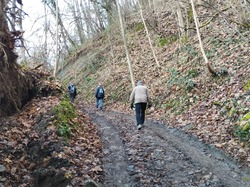 Illustration de la galerie