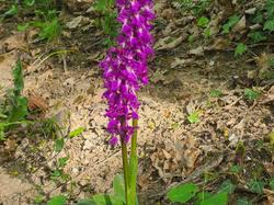 Illustration de la galerie