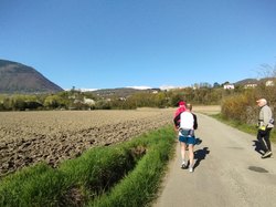 Illustration de la galerie