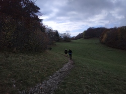 Illustration de la galerie