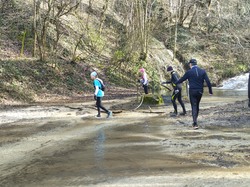 Illustration de la galerie