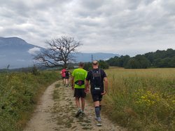 Illustration de la galerie