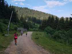 mini_reco-du-trail-des-7-laux-5d3710c4adf44.jpg