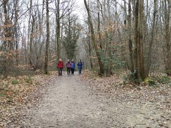 Illustration de la galerie