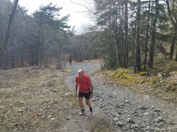 Illustration de la galerie