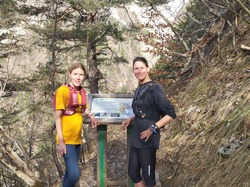 Illustration de la galerie