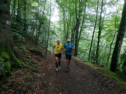 Illustration de la galerie