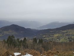 Illustration de la galerie