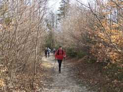 Illustration de la galerie