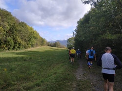 Illustration de la galerie